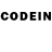 COCAIN Columbia Dilmurod Alpanov