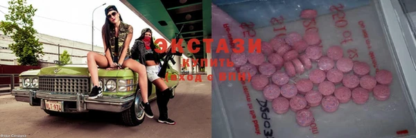 индика Новокубанск