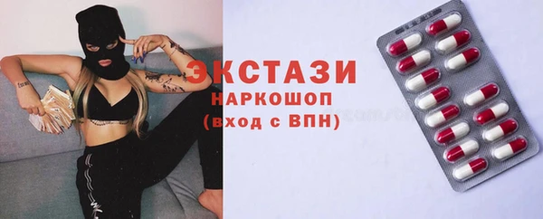 индика Новокубанск