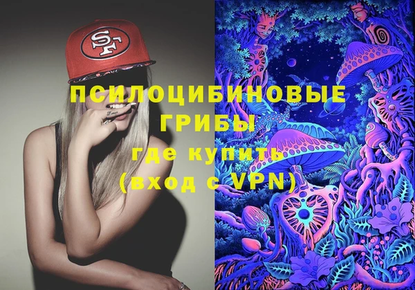 мет Новозыбков