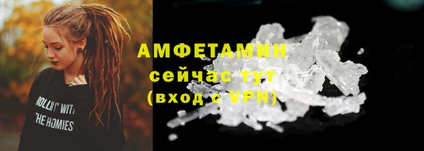 мет Новозыбков