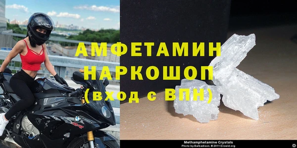индика Новокубанск