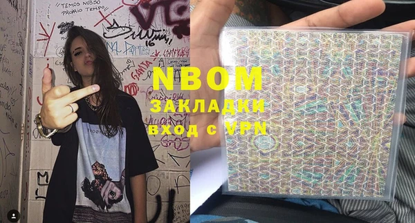 индика Новокубанск