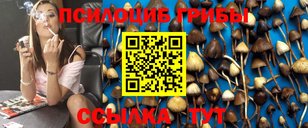 Старый Оскол  Галлюциногенные грибы ЛСД  Галлюциногенные грибы ЛСД  Вход с VPN 