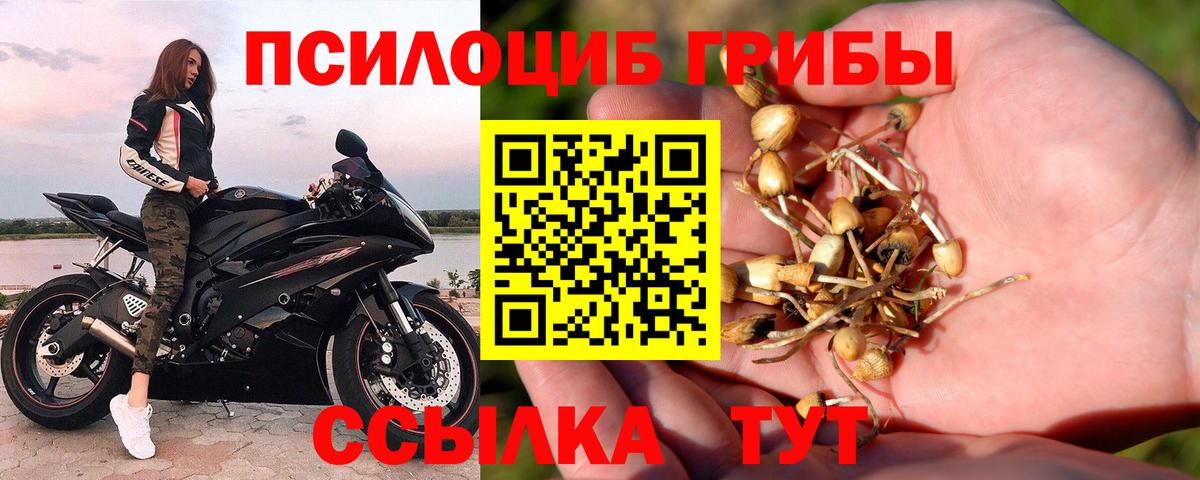 Псилоцибиновые грибы ЛСД Старый Оскол